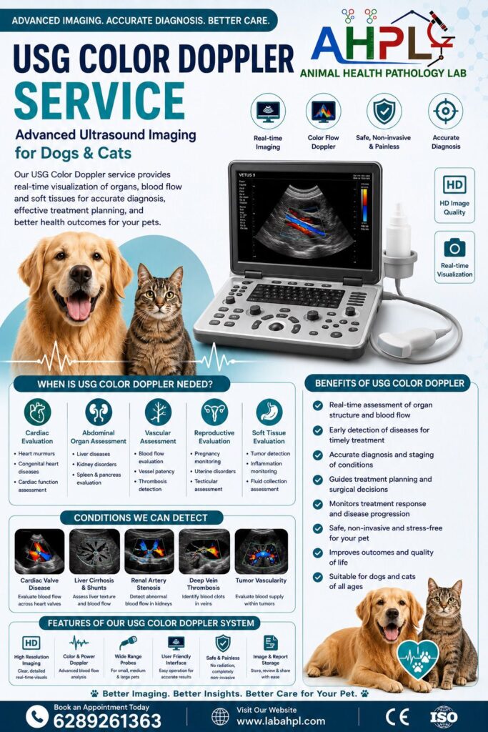 USG for pet in kolkata