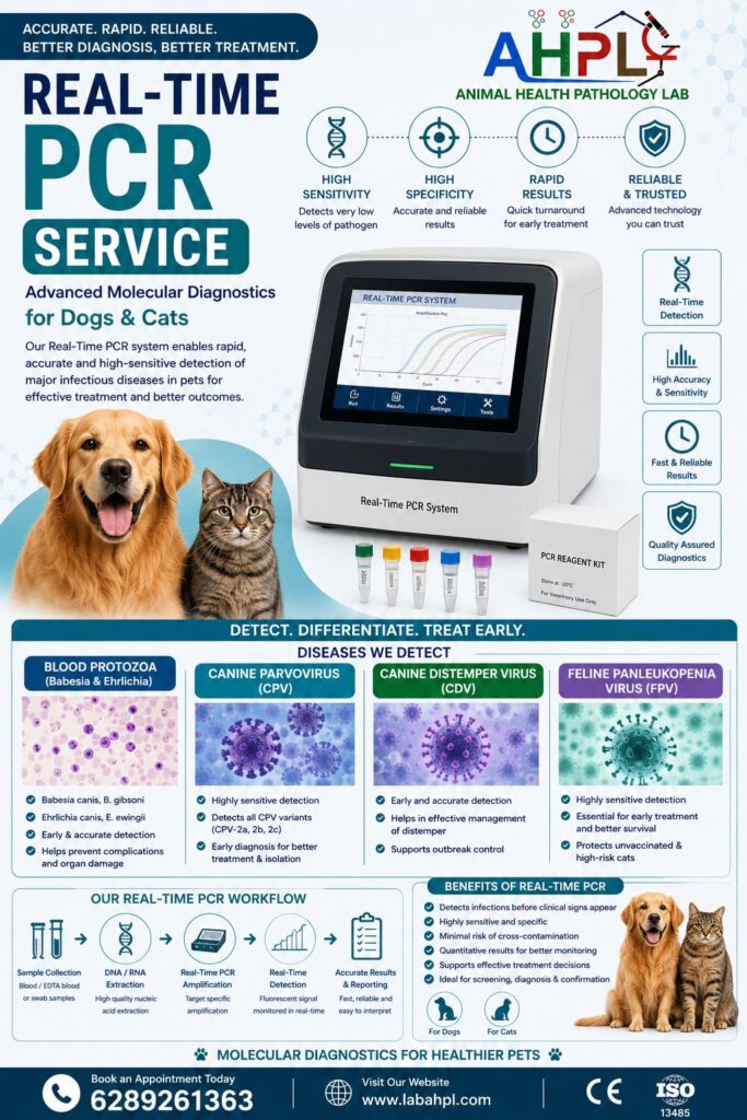 RT PCR for dogs and cats