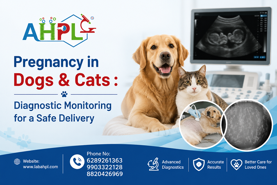 Pregnancy in Dogs & Cats